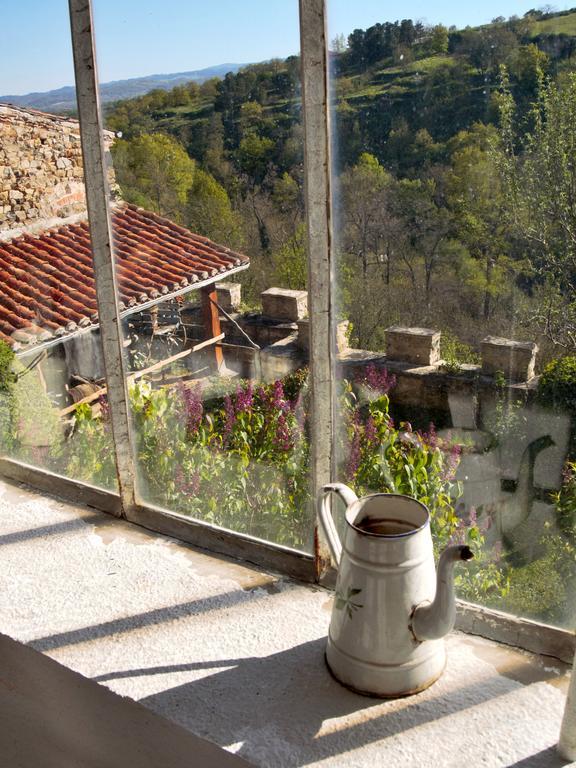 Ermitage Saint Vincent B&B Vieille-Brioude Екстер'єр фото