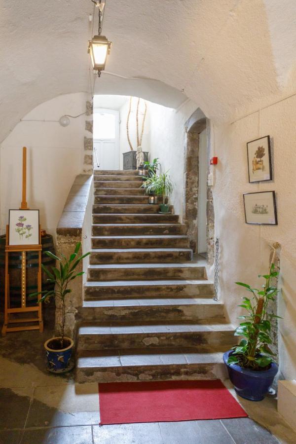 Ermitage Saint Vincent B&B Vieille-Brioude Екстер'єр фото